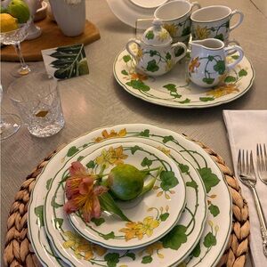 Villeroy & Boch SEIT 1809 Backstamped “Geranium” Dinnerware 36 rare set